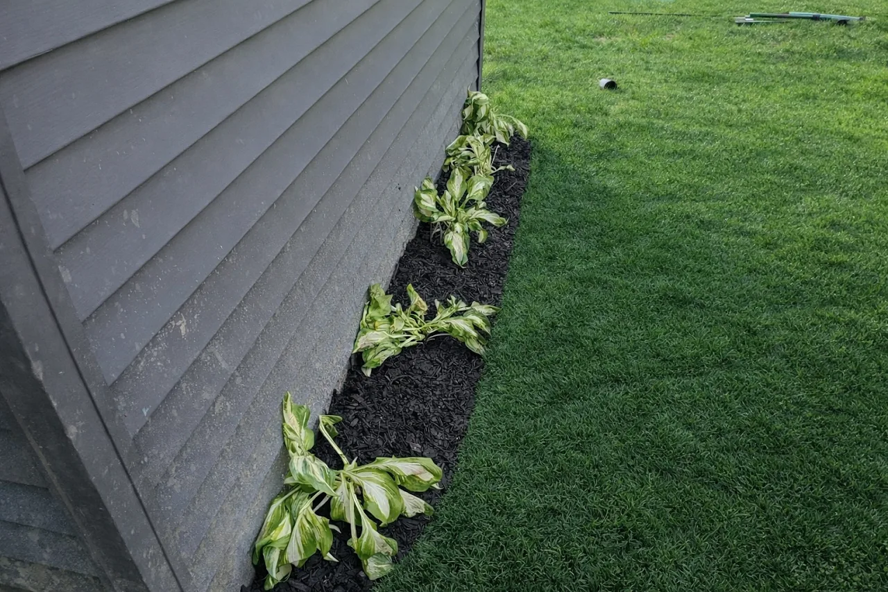 Flower bed installation and landscaping