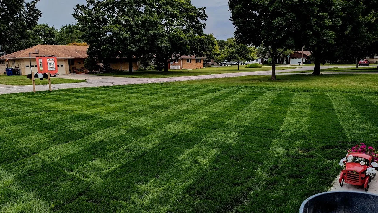 Professionally striped lawn after mowing in Saginaw MI